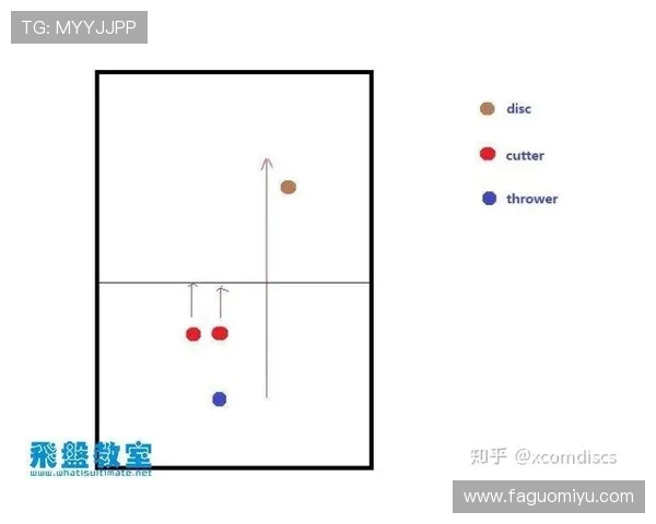 杭州飞盘队区域防守战术解析与比赛表现的深度剖析