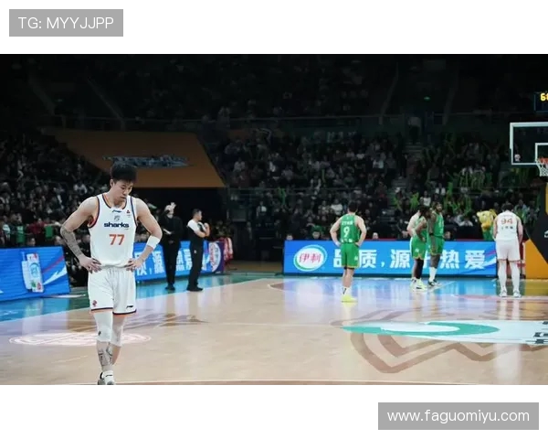 2020年辽宁与广东总决赛精彩回顾与赛季分析